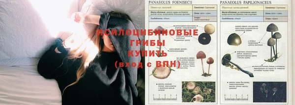MDMA Premium VHQ Карпинск
