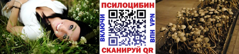 Купить  Геленджик  Псилоцибиновые грибы мицелий 